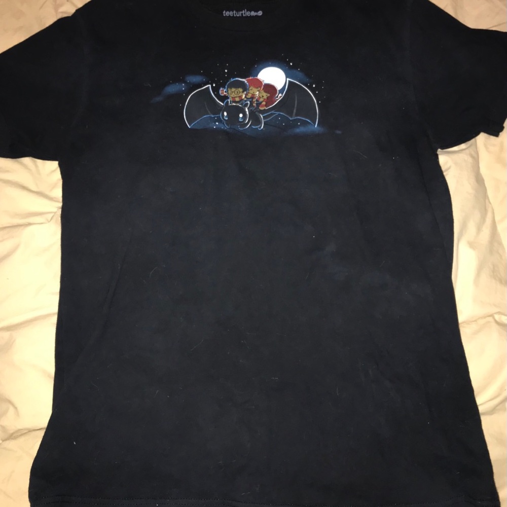 Harry Potter How to Train Dragon T Shirt